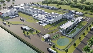 Thăng Long - Tesa Hải Phòng